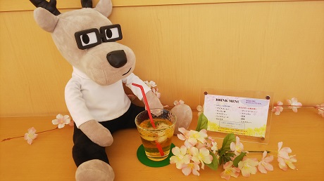 harudorinnku2
